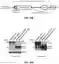 Fig. 11 - Inhibitors of CACNA1A/ALPHA1A subunit internal ribosomal entry site (IRES) and methods of treating spinocerebellar ataxia type 6