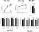 Fig. 18 - Inhibitors of CACNA1A/ALPHA1A subunit internal ribosomal entry site (IRES) and methods of treating spinocerebellar ataxia type 6