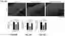 Fig. 23 - Inhibitors of CACNA1A/ALPHA1A subunit internal ribosomal entry site (IRES) and methods of treating spinocerebellar ataxia type 6