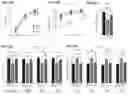 Fig. 24 - Inhibitors of CACNA1A/ALPHA1A subunit internal ribosomal entry site (IRES) and methods of treating spinocerebellar ataxia type 6