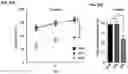 Fig. 27 - Inhibitors of CACNA1A/ALPHA1A subunit internal ribosomal entry site (IRES) and methods of treating spinocerebellar ataxia type 6