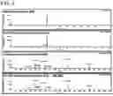 Fig. 08 - Method of producing isoprenoids and proteins, genes, and transformants for the same