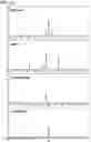 Fig. 12 - Method of producing isoprenoids and proteins, genes, and transformants for the same