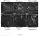 Fig. 06 - Marker, method and kit for observing effect of compound or drug on cells in real time, and use thereof