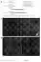 Fig. 07 - Marker, method and kit for observing effect of compound or drug on cells in real time, and use thereof