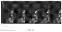 Fig. 09 - Marker, method and kit for observing effect of compound or drug on cells in real time, and use thereof