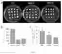 Fig. 11 - Marker, method and kit for observing effect of compound or drug on cells in real time, and use thereof