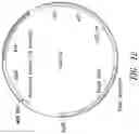 Fig. 15 - Nucleic acids and vectors for regulated target gene expression in methanotrophic bacteria