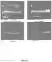 Fig. 100 - CRISPR-CAS COMPONENT SYSTEMS, METHODS AND COMPOSITIONS FOR SEQUENCE MANIPULATION