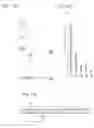 Fig. 116 - CRISPR-CAS COMPONENT SYSTEMS, METHODS AND COMPOSITIONS FOR SEQUENCE MANIPULATION