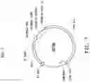 Fig. 10 - U6 polymerase III promoter and methods of use
