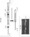 Fig. 40 - U6 polymerase III promoter and methods of use