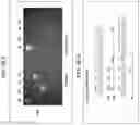 Fig. 44 - U6 polymerase III promoter and methods of use