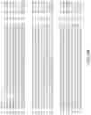 Fig. 03 - Efficient selectivity of recombinant proteins