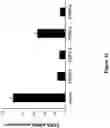 Fig. 13 - Methods and compositions for the activation of gamma-delta T-cells