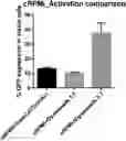 Fig. 01 - Vector-free intracellular delivery by reversible permeabilization