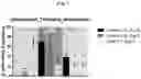 Fig. 08 - Vector-free intracellular delivery by reversible permeabilization