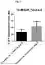 Fig. 09 - Vector-free intracellular delivery by reversible permeabilization