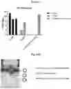 Fig. 63 - Vector-free intracellular delivery by reversible permeabilization