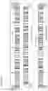 Fig. 06 - Genome editing