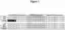 Fig. 02 - Mutants of the bacteriophage lambda integrase