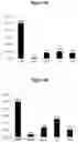 Fig. 08 - Mutants of the bacteriophage lambda integrase