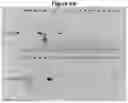 Fig. 10 - Mutants of the bacteriophage lambda integrase