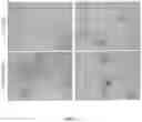 Fig. 13 - Production of Heterologous Polypeptides in Microalgae, Microalgal Extracellular Bodies, Compositions, and Methods of Making and Uses Thereof
