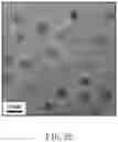 Fig. 04 - FLUORESCENT PROBE