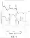 Fig. 05 - FLUORESCENT PROBE