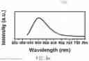 Fig. 06 - FLUORESCENT PROBE