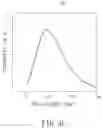 Fig. 07 - FLUORESCENT PROBE