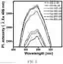 Fig. 10 - FLUORESCENT PROBE