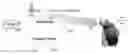 Fig. 01 - METHOD FOR DETECTING ATP BY USING PERSONAL BLOOD GLUCOSE METER