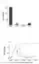 Fig. 03 - METHOD FOR DETECTING ATP BY USING PERSONAL BLOOD GLUCOSE METER