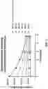 Fig. 06 - Stabilized formulation for luminescent detection of luciferase and nucleoside phosphates