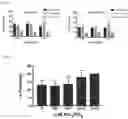 Fig. 04 - SYSTEM AND METHOD FOR PURIFYING AND AMPLIFYING NUCLEIC ACIDS