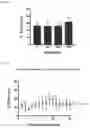 Fig. 06 - SYSTEM AND METHOD FOR PURIFYING AND AMPLIFYING NUCLEIC ACIDS