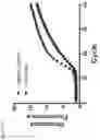 Fig. 13 - SYSTEM AND METHOD FOR PURIFYING AND AMPLIFYING NUCLEIC ACIDS
