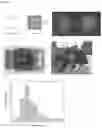 Fig. 19 - SYSTEM AND METHOD FOR PURIFYING AND AMPLIFYING NUCLEIC ACIDS