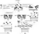 Fig. 01 - Method for detecting live 