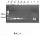 Fig. 06 - Method for detecting live 