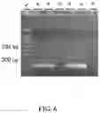 Fig. 07 - Method for detecting live 