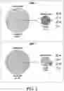 Fig. 03 - SINGLE MOLECULE-OVERLAPPING READ ANALYSIS FOR MINOR VARIANT MUTATION DETECTION IN PATHOGEN SAMPLES