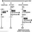 Fig. 01 - COMPREHENSIVE SINGLE MOLECULE ENHANCED DETECTION OF MODIFIED CYTOSINES