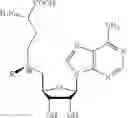 Fig. 20 - COMPREHENSIVE SINGLE MOLECULE ENHANCED DETECTION OF MODIFIED CYTOSINES