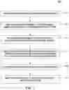 Fig. 02 - Spatially encoded biological assays