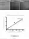 Fig. 05 - Methods for quantitating DNA using digital multiple displacement amplification