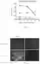 Fig. 10 - Methods for quantitating DNA using digital multiple displacement amplification