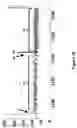 Fig. 17 - Method for nanopore RNA characterisation